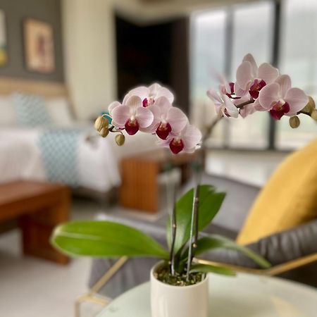 Follow The Cloud B&B Jialin Zimmer foto