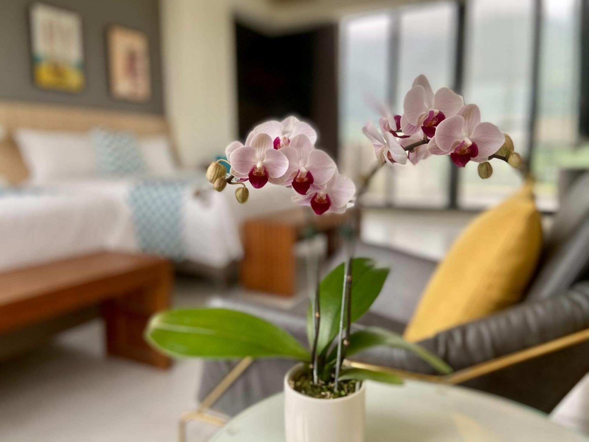 Follow The Cloud B&B Jialin Zimmer foto